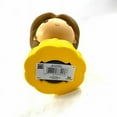 thumbnail image 2 of Disney Aladdin Princess Belle PVC Coin Bank - 8.5", 2 of 3