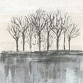 thumbnail image 2 of Vassileva, Silvia 12x12 Black Ornate Wood Framed with Double Matting Museum Art Print Titled - Trees at Dawn II Neutral, 2 of 4
