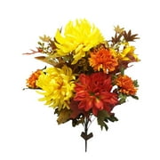 Better Homes and Gardens Mix Ball Mum Harvest Bush