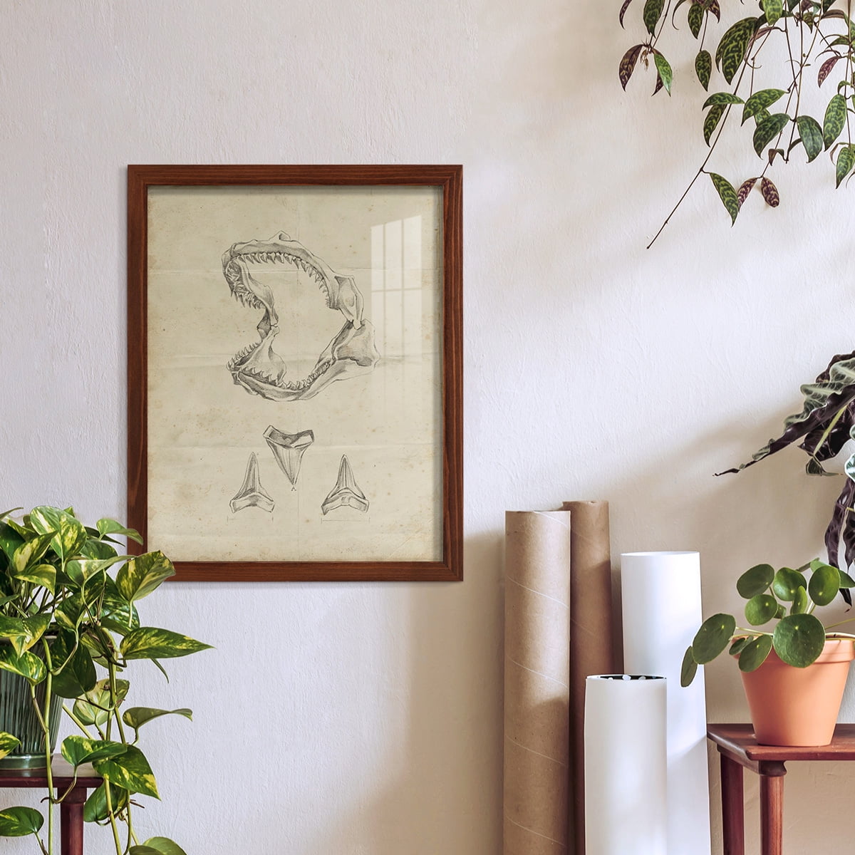 Shark Study II - Framed Print w/glass - Chestnut