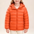thumbnail image 7 of Toddler Girls Puffer Jacket Hooded Lightweight Winter Coat Zip Up Quilted Outerwear Windproof Warm Fall Parka with Pockets for Kids Cold Weather School Everyday Wear, Size 5-6, 7 of 7