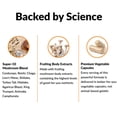 thumbnail image 3 of Suplemento Force Factor Modern Mushrooms 90 cápsulas, 3 of 8