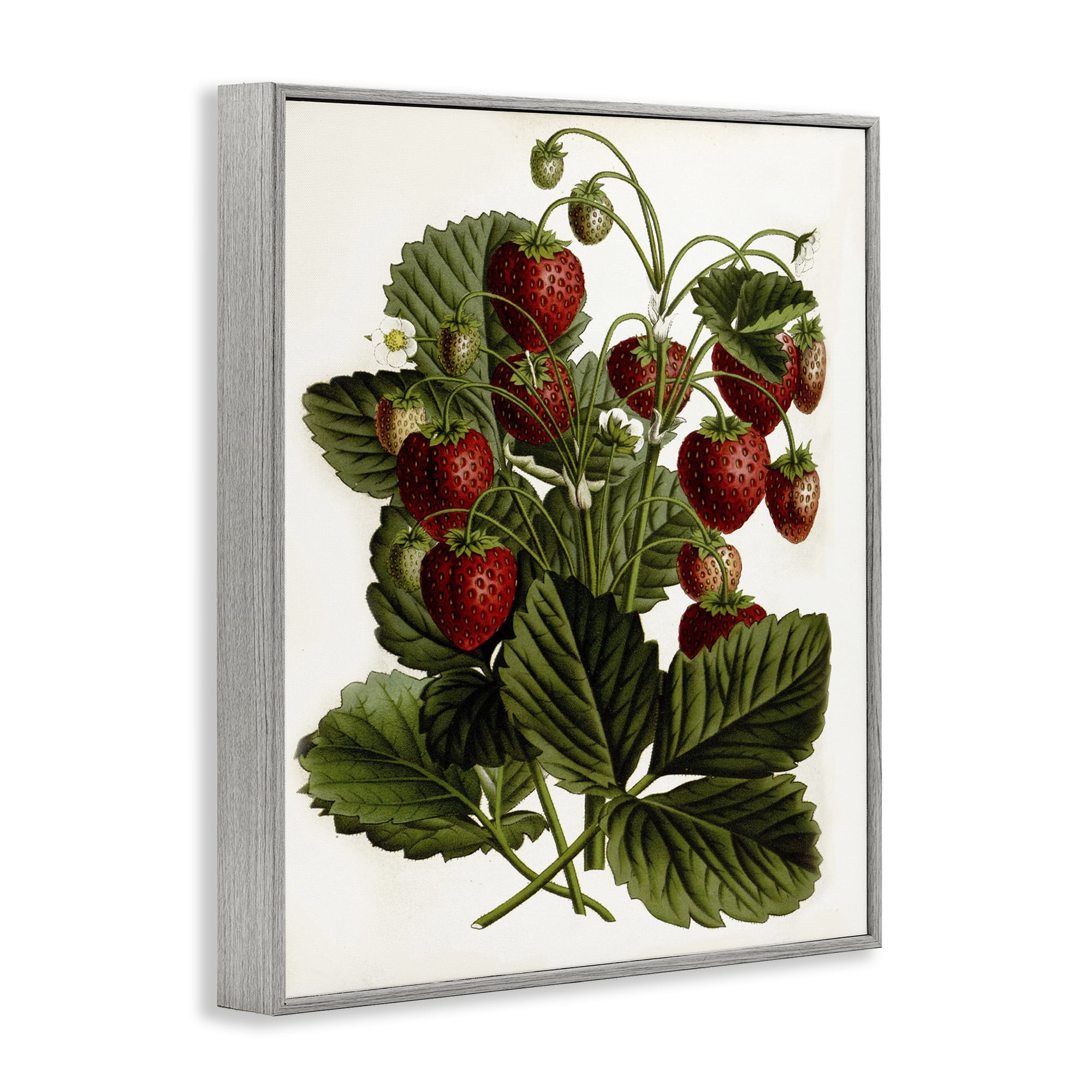 Stupell Industries Strawberry Plant Study Food & Beverage Painting Gray Framed Art Print Wall Art, 11 x 14