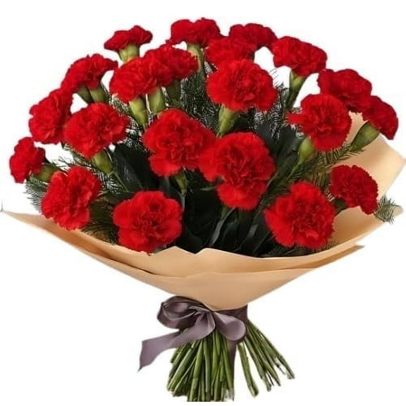 KaBloom: 18 Red Carnation vase, Next-Day Delivery, Gift for Every Occasion.