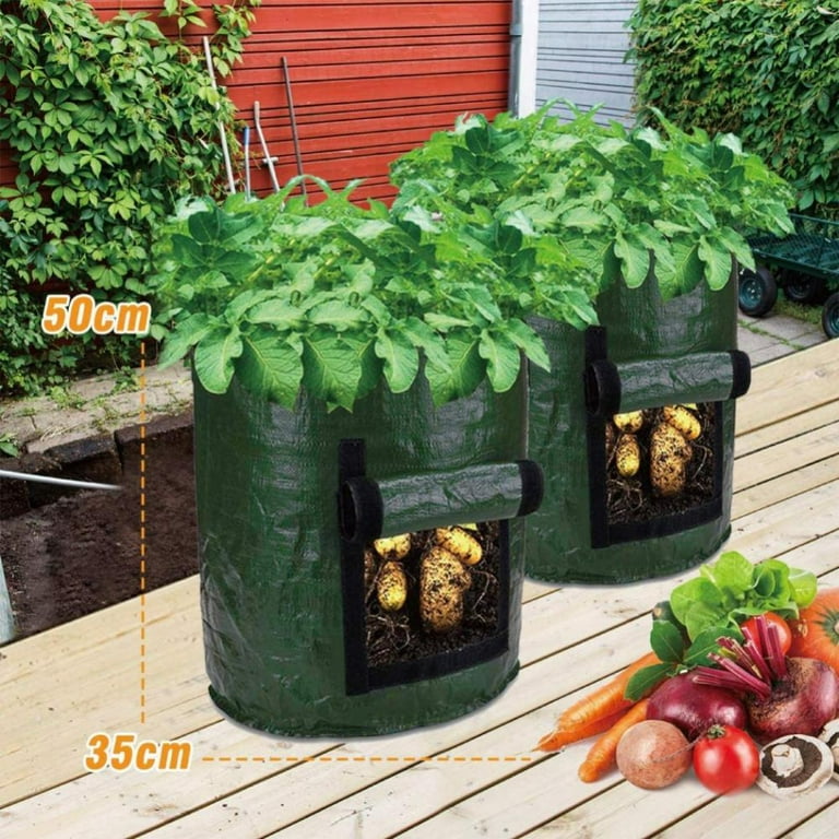Sel Natural 2 Pack 10 Gallon Garden Potato Grow Bags with Windows Flap and  Handles Aeration Fabric Pots Heavy Duty Vegetable Planter Bag for Tomato,  Fruits,Carrots (Brown and Green) - Yahoo Shopping