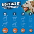 thumbnail image 4 of Chuckit! Tennis Ball Fetch Dog Toy, Large 3" for Large Dogs 60 to 100 lb, Pack of 1, Orange, 4 of 11