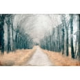 thumbnail image 3 of Allen, Kimberly 18x13 Black Modern Framed Museum Art Print Titled - Pathway in the Mist, 3 of 5