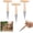 3pcs, variant on Plant Hole Digger for Planting, Garden Seed Dispenser, Bulb Planting Tool, Handheld Digger Garden Seed Planting Tool for Planting Tulip Daffodil Saffron Vegetable Seeds (1pcs)