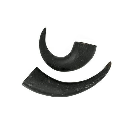 UPC: 0759170116201 | peaksNpaws Premium Water Buffalo Horns for Dogs – Free Range and Grass Fed – High in Protein  Low in Fat – Small 2-Pack