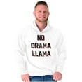 thumbnail image 3 of No Drama Llama Alpaca Chill Relaxed Hoodie Sweatshirt Women Men Brisco Brands M, 3 of 6