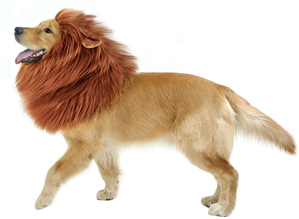 M, Brown YMero Pet Dog Cat Lion Mane Wigs with Ears Adjustable Comfortable Fancy Lion Mane Costume for Halloween Christmas Holiday Party