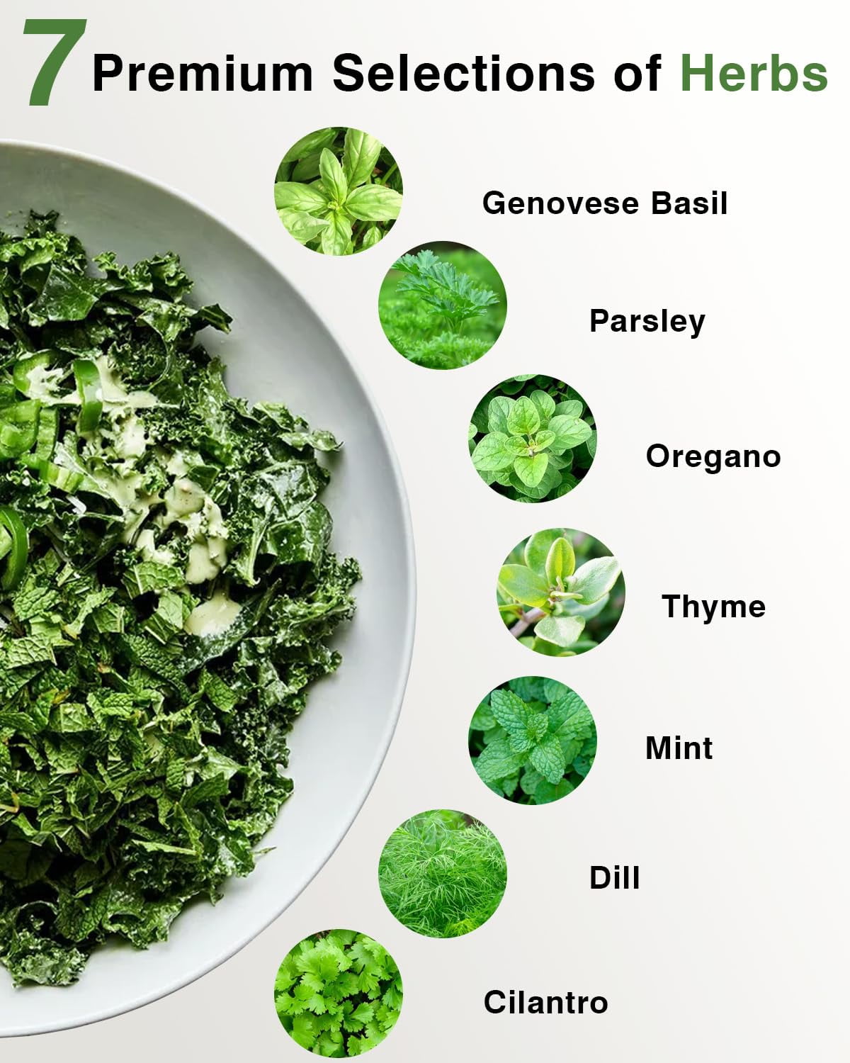 Herb Plant Growing Kit 12-pods for Hydroponic Systems
