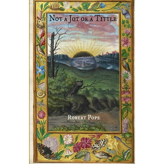 Not A Jot or A Tittle: 16 Stories by Robert Pope (Paperback)