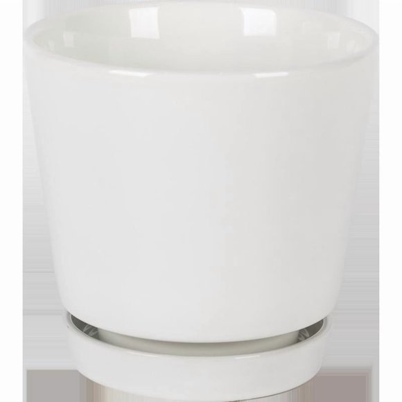 Platillo de cerámica Planter Border Concepts, 25 cm de profundidad, color blanco