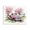 Cherry Blossom Pickup Truck_v1, variant on Stupell Industries Flower Blossom Truck Transportation Painting Black Floater Framed Canvas Art Print Wall Art, 21 x 17