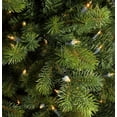 thumbnail image 2 of 9' Pre-Lit Savannah Spruce Artificial Christmas Tree - Clear Lights, 2 of 4