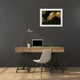 thumbnail image 3 of Babette 32x25 White Modern Wood Framed Museum Art Print Titled - Teardrop, 3 of 4