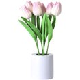 thumbnail image 1 of Rechargeable LED Tulip Nightlight Simulation Flower Bundle Imitation Lamp Bedroom Bedside Dormitory Decorative Atmosphere Lamp Table Lamp, 1 of 5