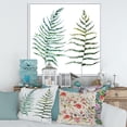 thumbnail image 2 of Designart 'Two Fern Leaves On White' Farmhouse Framed Canvas Wall Art Print, 2 of 5