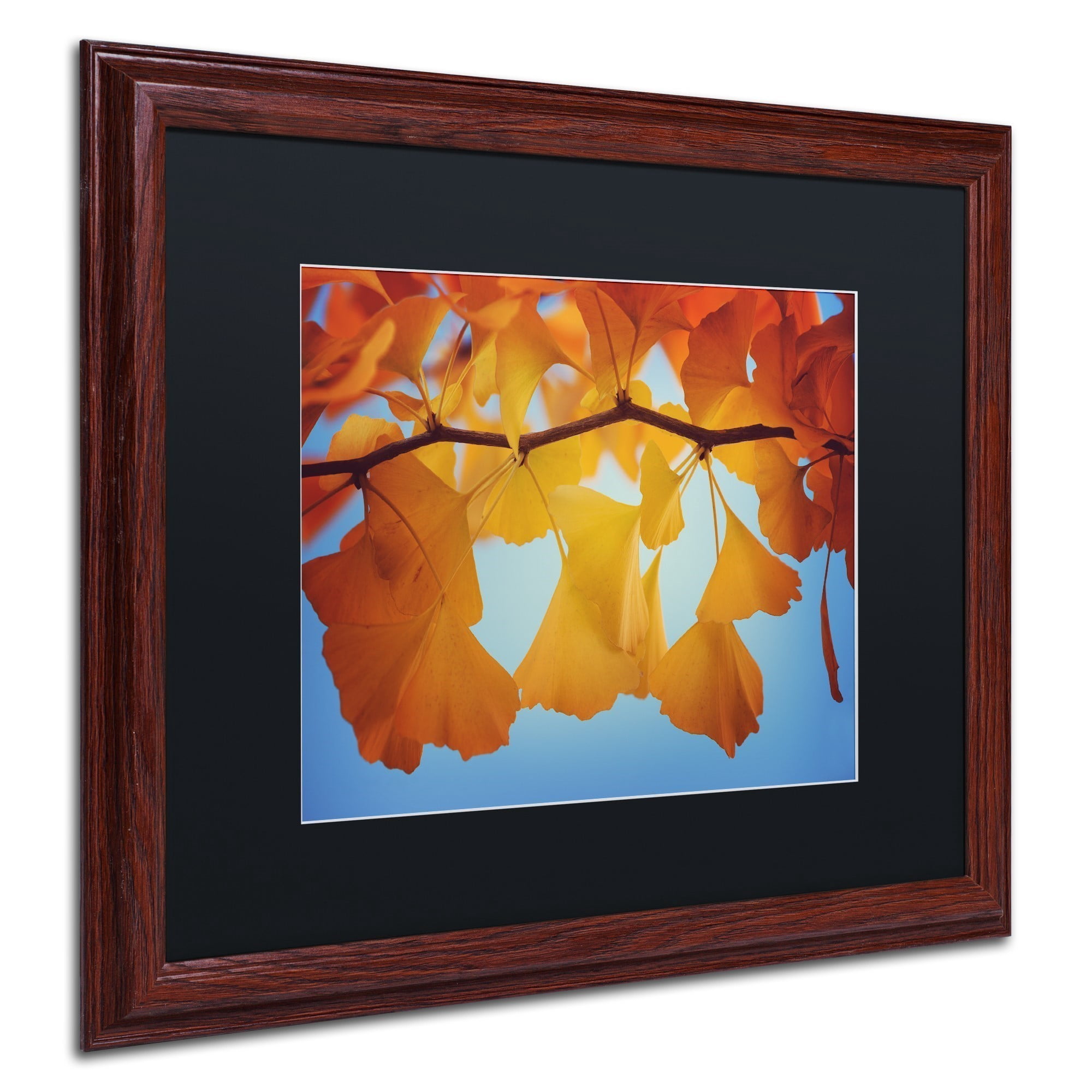 Trademark Fine Art ''Spiritual Food'' by Philippe Sainte-Laudy 16" x 20" Black Matted Wood Frame (886511798953)