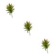 thumbnail image 1 of Plantas artificiales realistas Billuyoard suculentas MM215 Verde ABS, 1 of 6