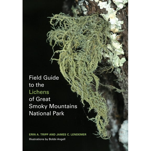 Field Guide to the Lichens of Great Smoky Mountains National Park, (Paperback)