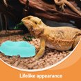 thumbnail image 3 of unbranded Comedero Y Bebedero De Resina Para Reptiles Antivuelco Color, 3 of 8