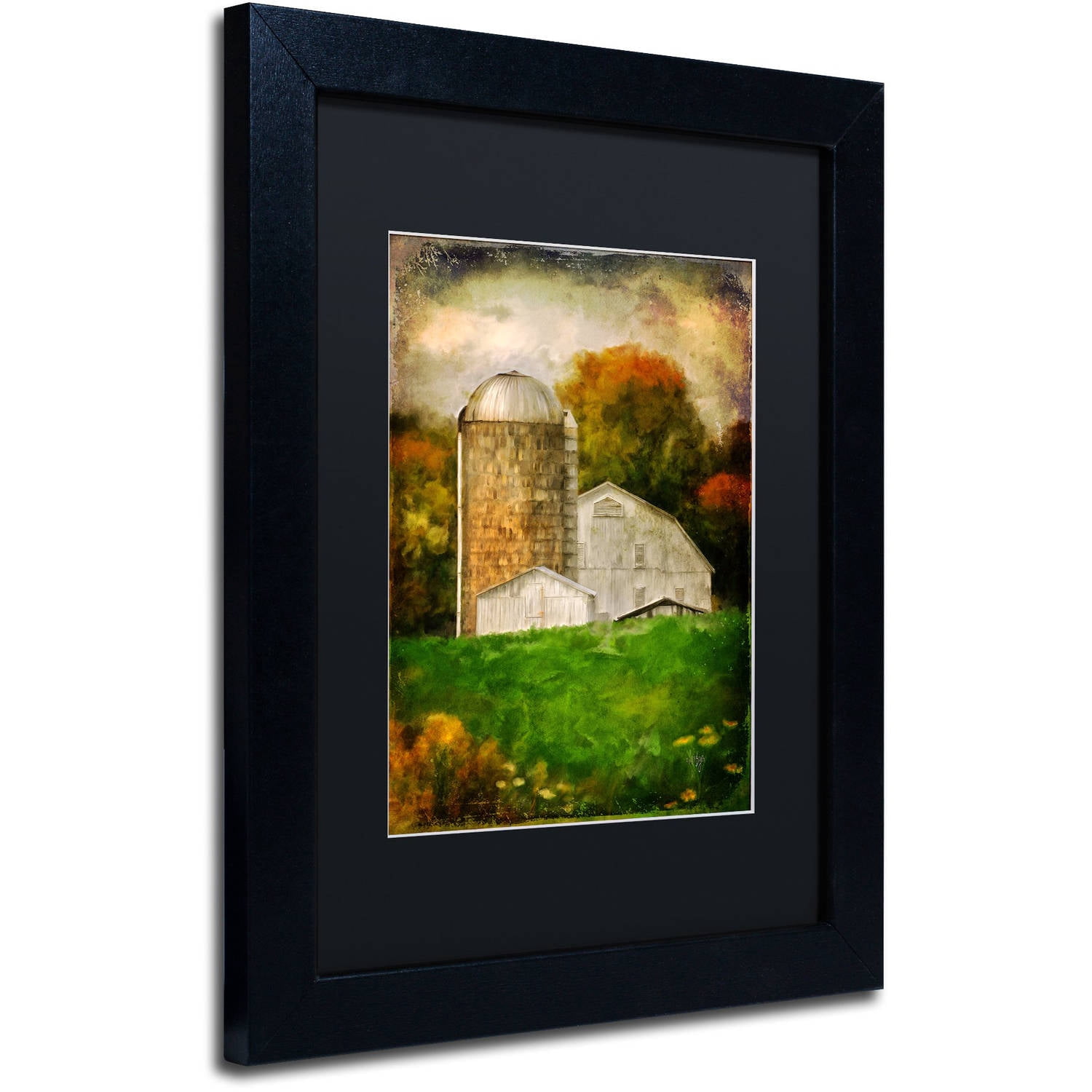 Trademark Fine Art "Down on the Farm" Canvas Art by Lois Bryan Black Matte, Black Frame