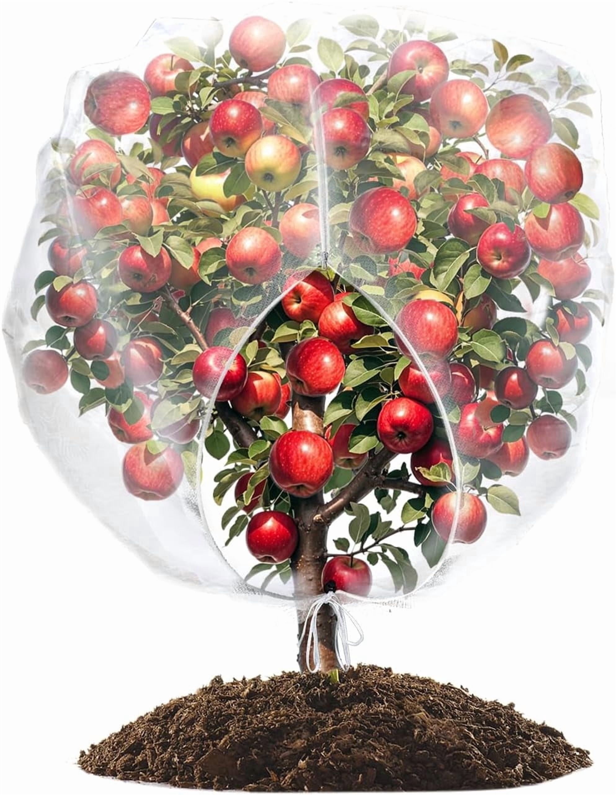 4Pack Ultra Fine Fruit Tree Plant Netting 5.9Ft x 5.25 Ft Garden Covers Protection Tomato Blueberry Bushes Live Plant