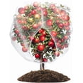 thumbnail image 4 of 4Pack Ultra Fine Fruit Tree Plant Netting 5.9Ft x 5.25 Ft Garden Covers Protection Tomato Blueberry Bushes Live Plant, 4 of 18