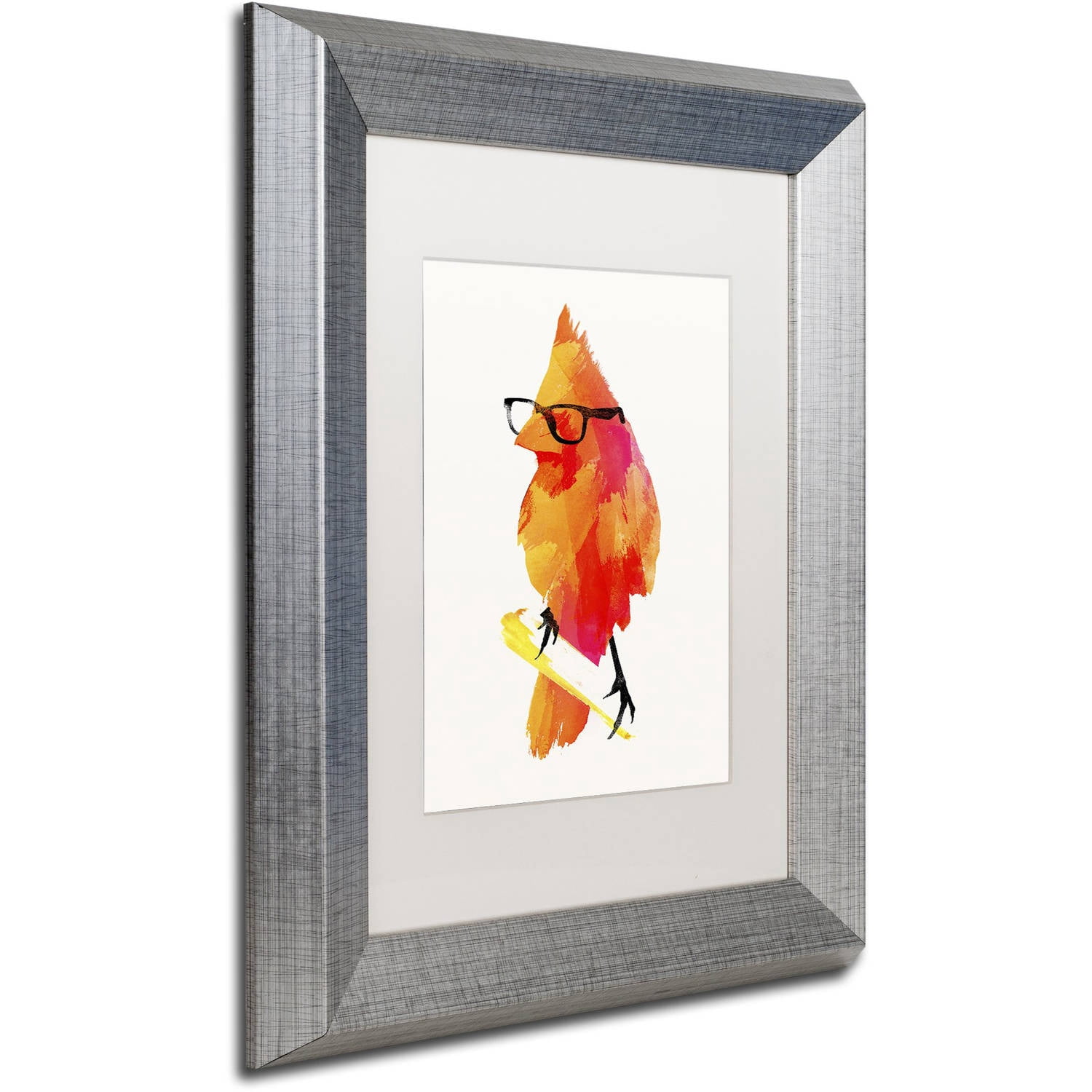 Trademark Fine Art 'Punk Birdy' Canvas Art by Robert Farkas, White Matte, Silver Frame
