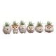 thumbnail image 1 of s de , s de plantas macetero de / mini s de cerámica, pequeña flor / planta / cactus / bonsái contenedor 6 piez CUTICAT Macetas suculentas, 1 of 8