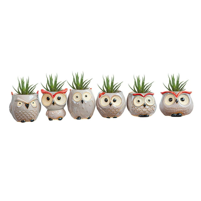 Macetas de , macetas de plantas suculentas, macetero de / mini macetas de cerámica, pequeña flor / planta / cactus / bonsái contenedor 6 piez DYNWAVEMX Macetas suculentas