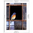 thumbnail image 5 of Art.com Bluebird Window Art Print by Chris Vest, White Frame Wall Art, 23" x 29", 5 of 5