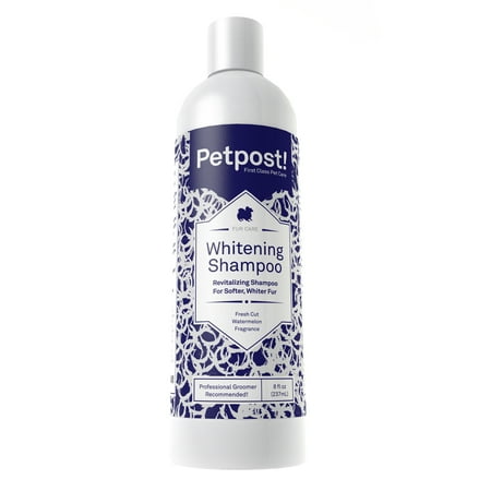 Petpost | Dog Whitening Shampoo - Best Lightening Treatment for Dogs with White Fur - Soothing Watermelon Scent - Maltese, Shih Tzu, Bichon Frise Approved - 8 (Best Food For Bichon Frise)