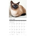 thumbnail image 3 of Siamese Cats 2025 Wall Calendar, 3 of 4