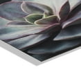 thumbnail image 3 of Kate and Laurel x F2Images Collaboration Lavender Succulent Floating Acrylic Art, 23x31, Decorative Succulent Decor, 3 of 8