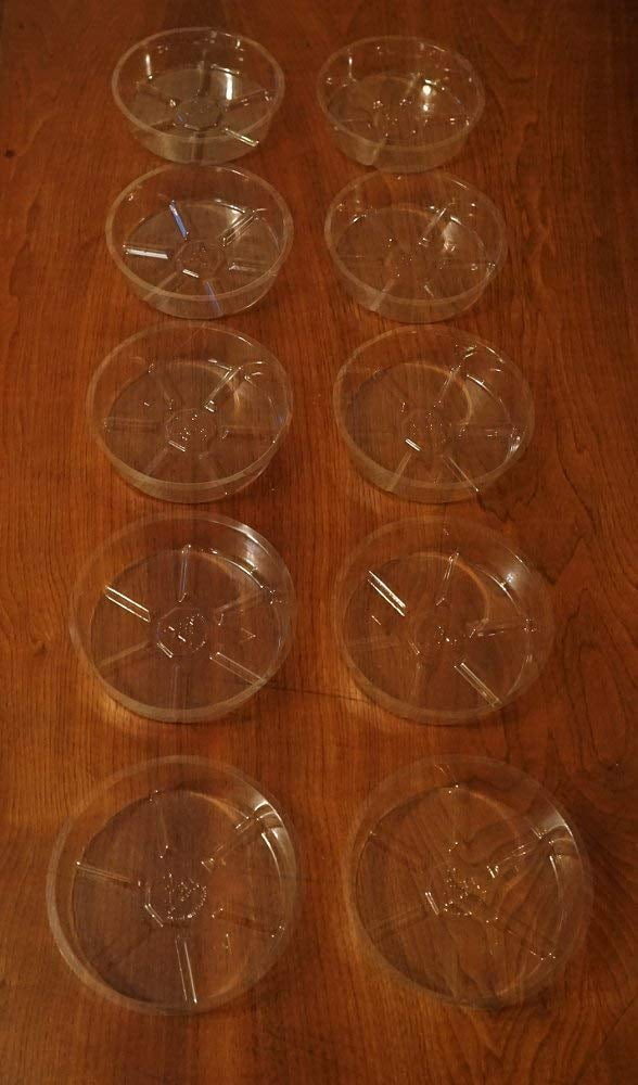 Plant Saucers (10 Pack) Clear Plastic 6 Inch for Indoor/Outdoor Garden