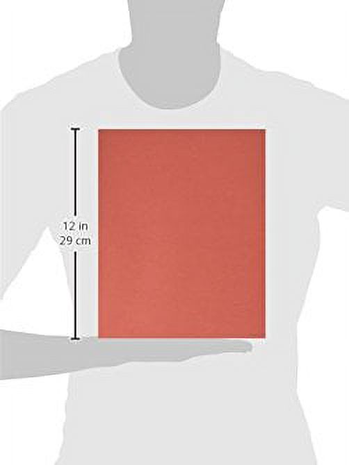 School Smart 2 Pocket Folder – 9 X 12 Inch – Pack Of 25 – Assorted - The Truthful Tutors