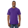 thumbnail image 1 of Fruit Of The Loom T-Shirt à Manches Courtes en Coton HD pour Hommes, P, Violet, 1 of 3