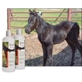 thumbnail image 2 of UltraCruz Equine Black Diamond Horse Shampoo Bundle, 2 x 32 oz Each, 2 of 4