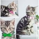 thumbnail image 4 of Collar de gato con campanas, collar ajustable para perro, gato, gatito, lazo, collar de perro, cachorro, suministros para mascotas con hebilla (verde fluorescente), 4 of 5