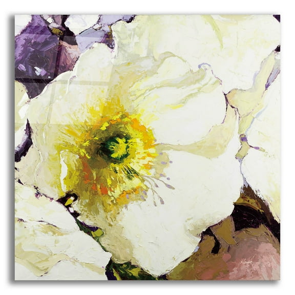 Epic Art 'White Poppies Up Close' by Shirley Novak Acrylic Glass Wall Art, 12" x 12"