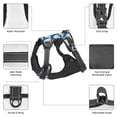 thumbnail image 3 of Vsdgher Swan Birds Pattern Dog Harness,No Pull Pet Harness with Soft Padded Handle,Adjustable Reflective Vest with 2 Buckles,4 Slide Buckles,S-XL Large, 3 of 4