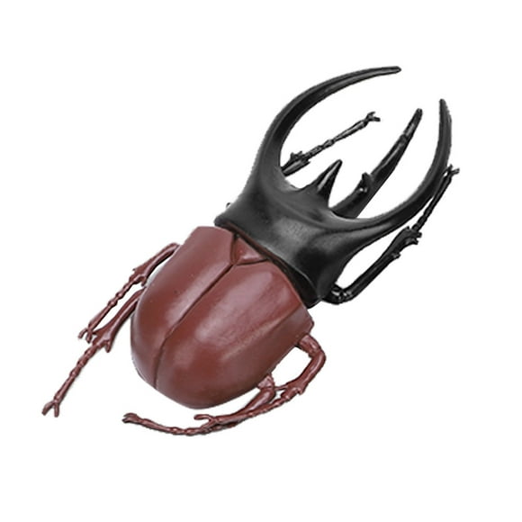Wchiuoe Accessoires Durables, Modèle d'Insecte, pour la Journée
