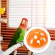 thumbnail image 4 of 12 Uds bolas para pájaros de juguete, jaula para loros, bolas con campana, bolas de colores para loros y pájaros, campanas para gatos, juguetes para pájaros, 4 of 4
