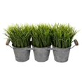 thumbnail image 1 of Vickerman FG190906 6.5 in. Potted Grass in Tin Pot, 1 of 1