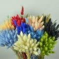 thumbnail image 4 of 50Pcs Dried Pampas Grass Eternal Flower,Dried Rabbit Tail Grass for Wedding Bouquets Decoration,17.7inch, 4 of 7