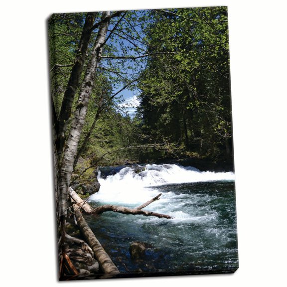 Gango Home Decor Rapids II by Brian Moore (Ready to Hang); One 24x36in Hand-Stretched Canvas