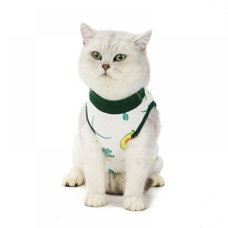 Cat surgical outlet vest